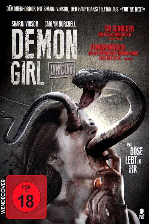 House on Willow Street