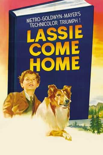 دانلود فیلم لسی بیا خونه با زیرنویس فارسی دانلود فیلم Lassie Come Home 