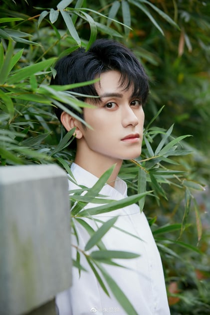 Zhu Zanjin Zhu Zanjin