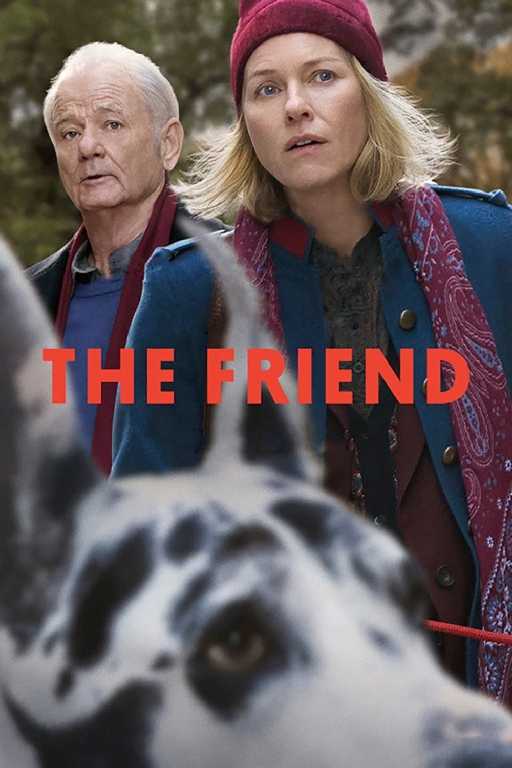 The Friend The Friend