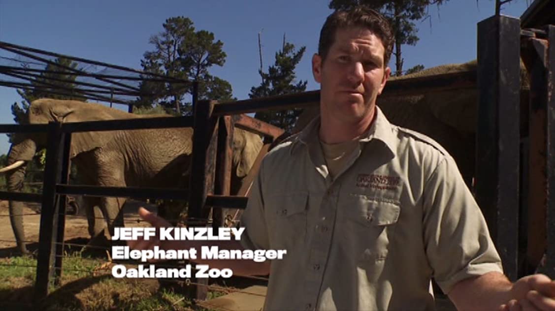 Jeff Kinzley Jeff Kinzley