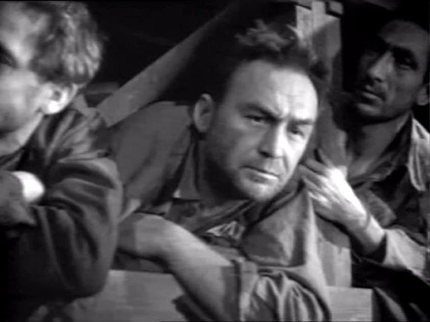 Georgi Shapovalov Georgi Shapovalov