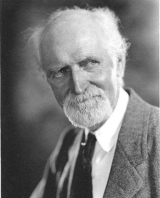 Luke Cosgrave Luke Cosgrave