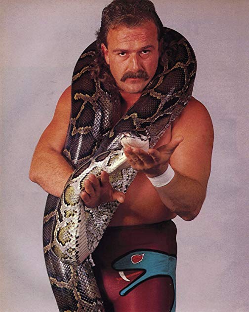 Jake Roberts Jake Roberts
