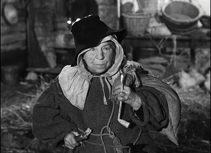 Pâquerette Pâquerette