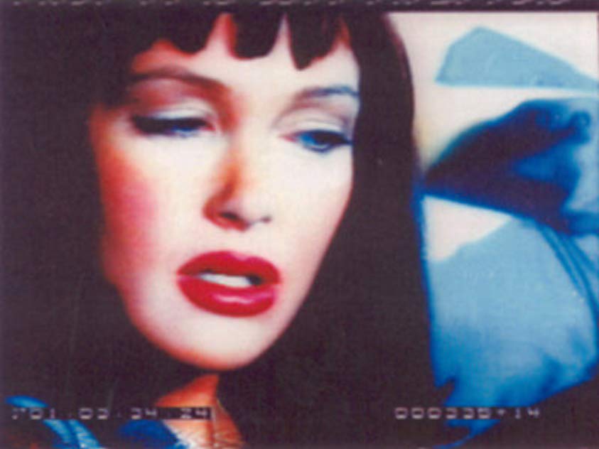 Holly Fields Holly Fields