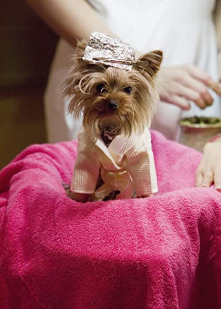 Manly Ortega Manly Ortega