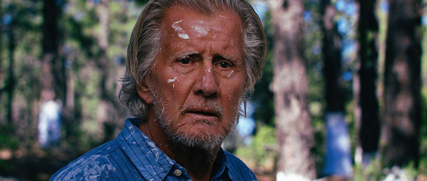 Forrest Fyre Forrest Fyre