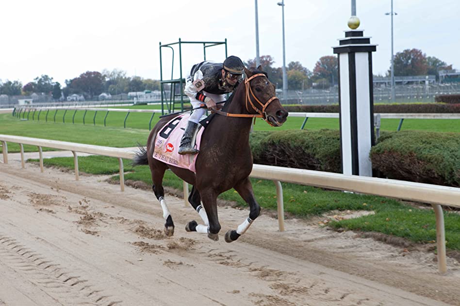 Calvin Borel Calvin Borel