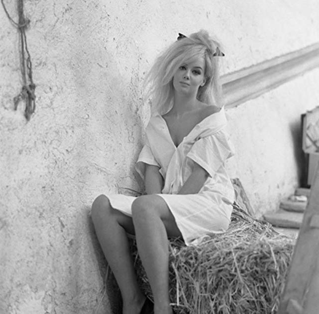 Edy Vessel Edy Vessel