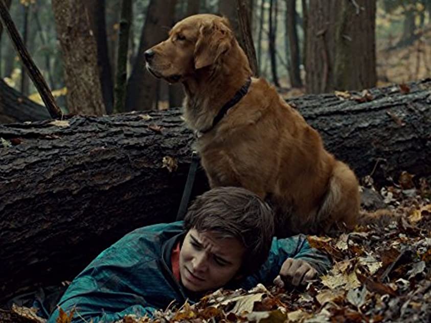 Dylan Authors Dylan Authors