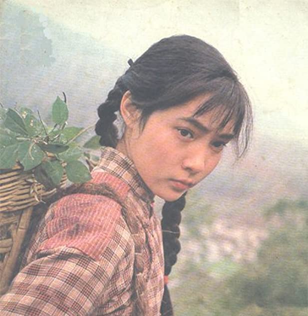 Danping Shen Danping Shen