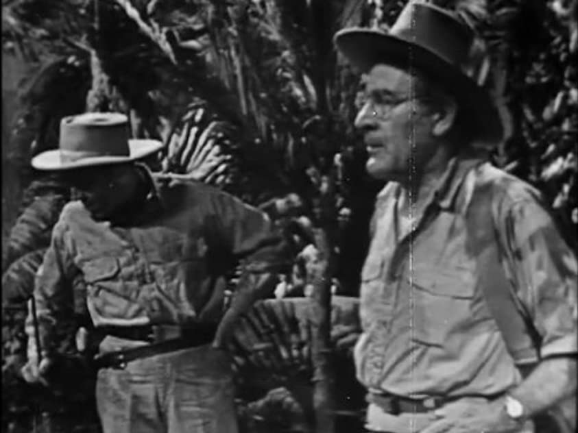 Cameron Prud'Homme Cameron Prud'Homme