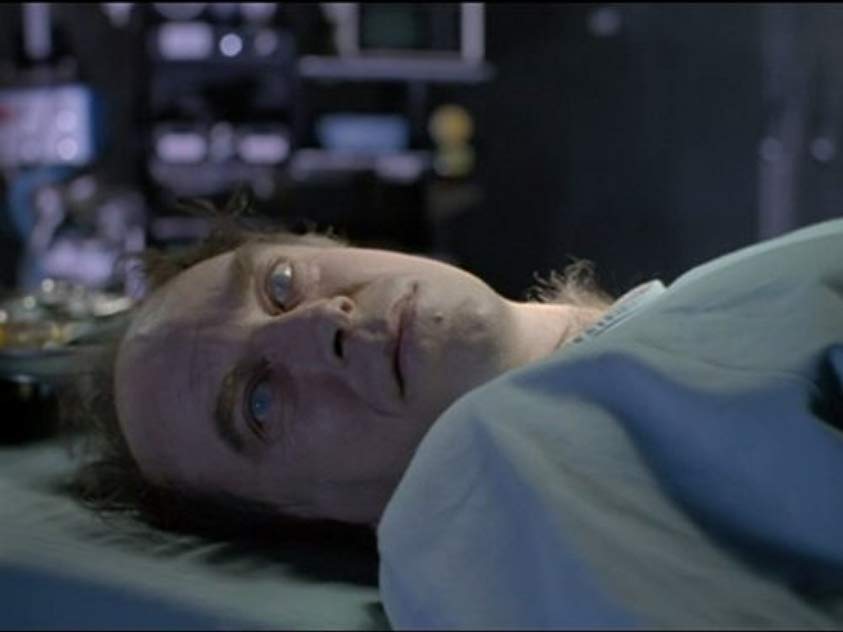 David Petersen David Petersen