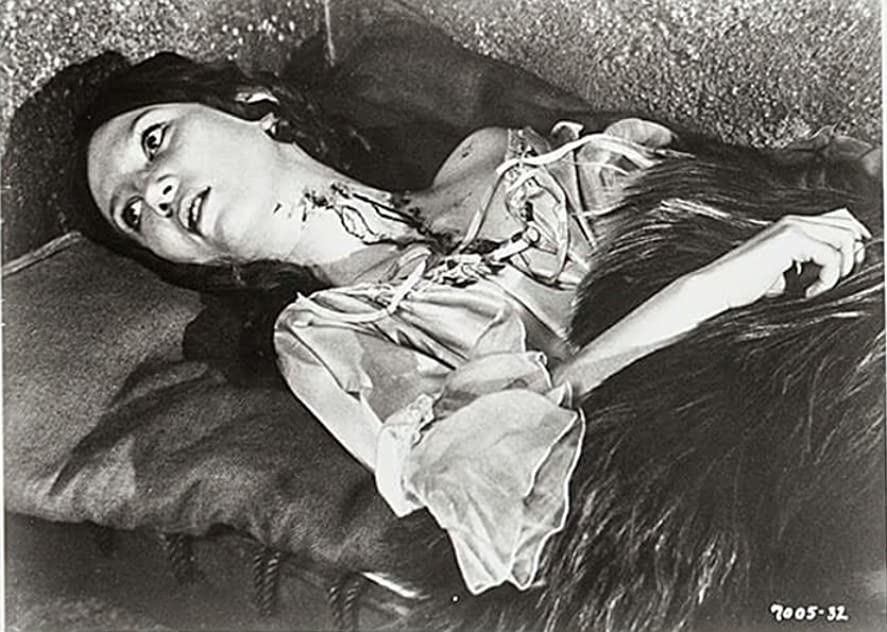 Joanna Shelley Joanna Shelley