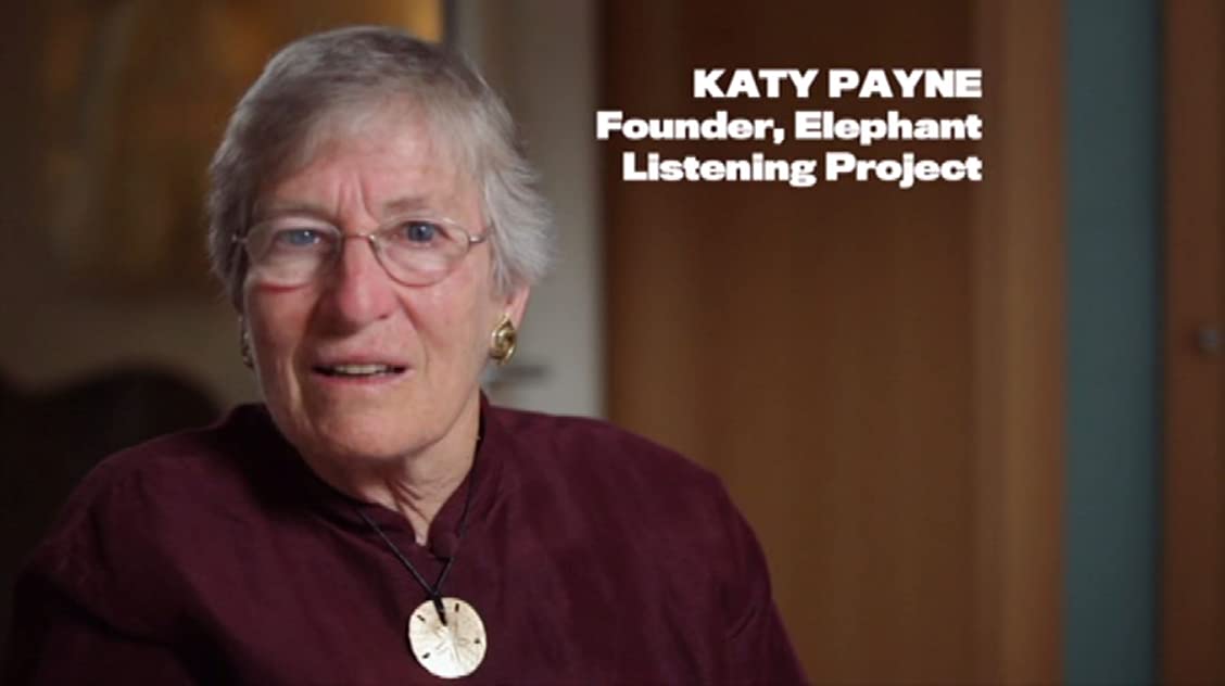 Katy Payne Katy Payne