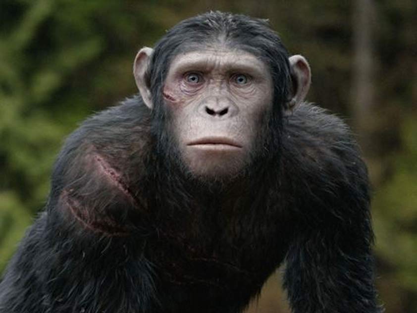 Nick Thurston Nick Thurston