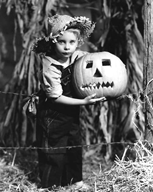 Janet Chapman Janet Chapman