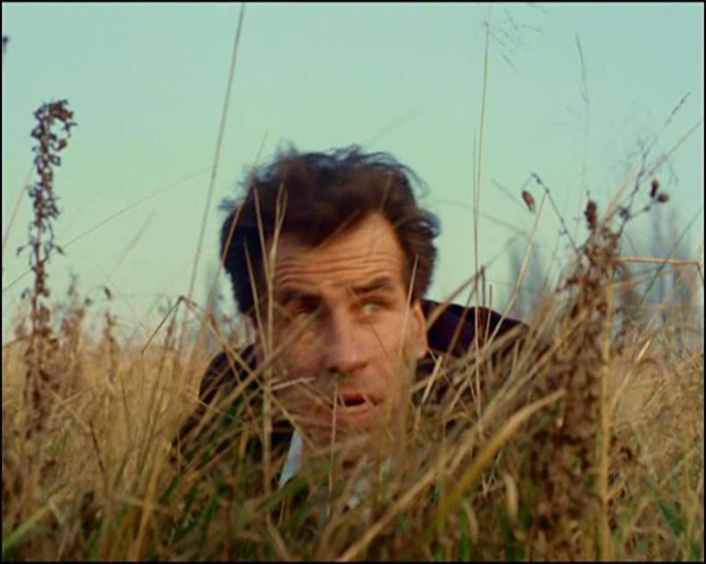 Peter Brace Peter Brace