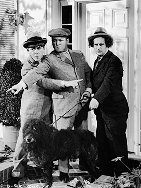 The Three Stooges The Three Stooges