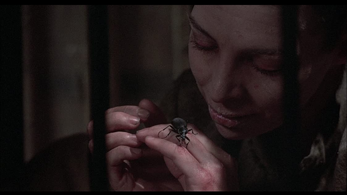 Sally Brown Sally Brown