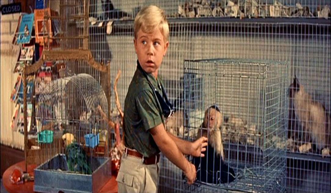 Stanley Livingston Stanley Livingston