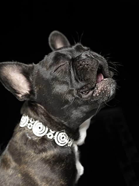 Mightie Louis Greenberg Mightie Louis Greenberg