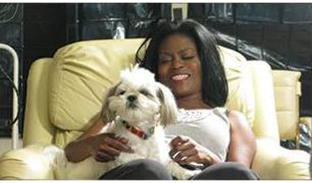 Viet Wilcots Viet Wilcots