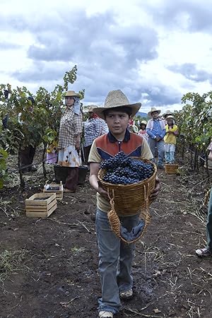 Juan Pablo Monterrubio