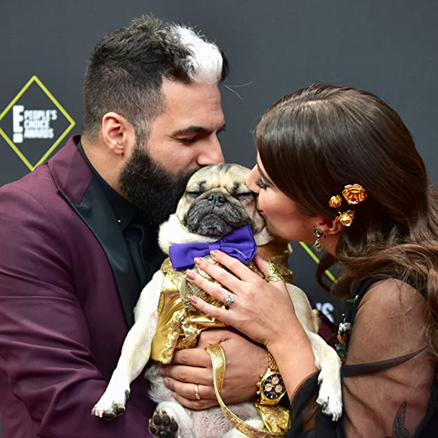 Doug the Pug Doug the Pug