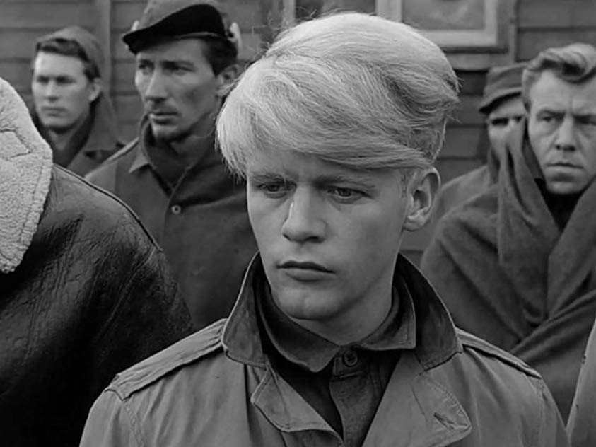 Robert Shawley Robert Shawley