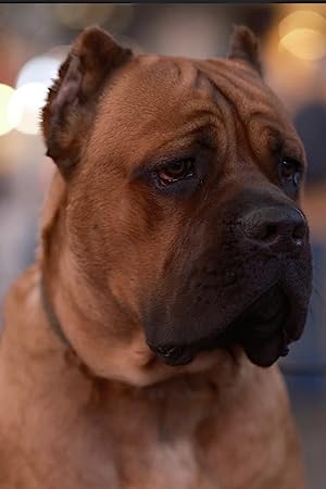 Pac Williams Pac Williams