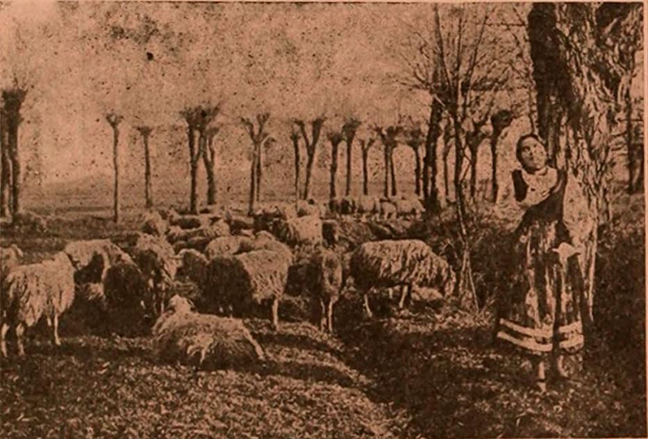 Gigetta Morano Gigetta Morano