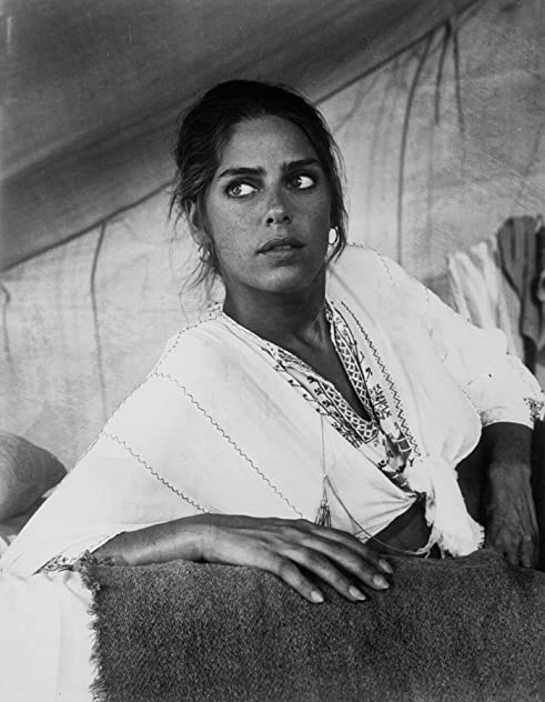 Daria Halprin Daria Halprin