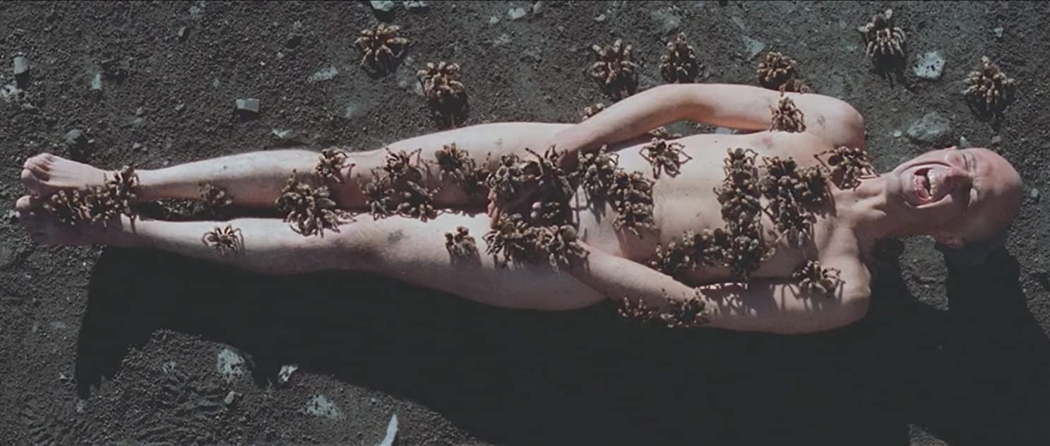 Nicky Nichols Nicky Nichols