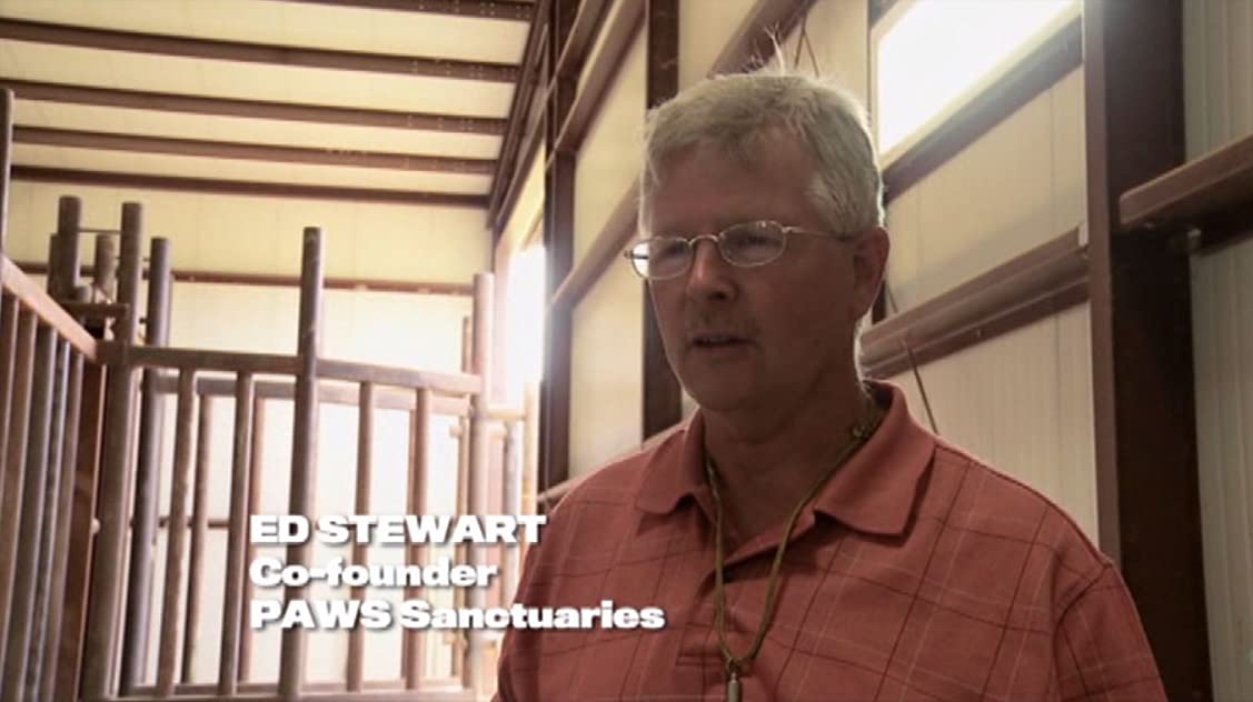 Ed Stewart Ed Stewart