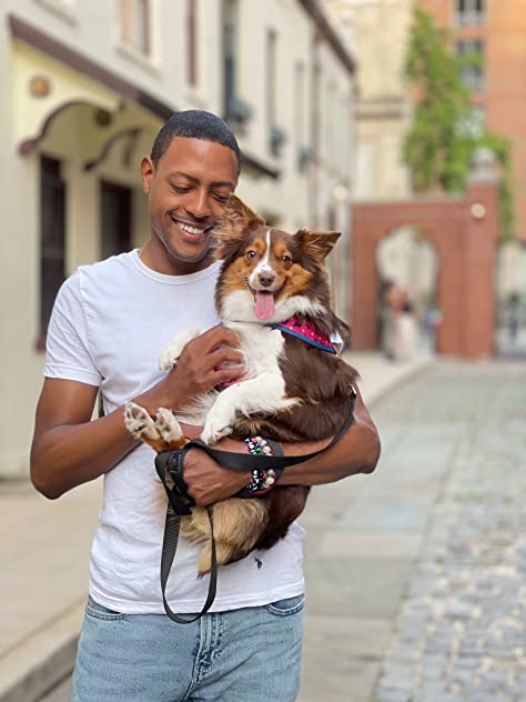 Brad Neilley Brad Neilley